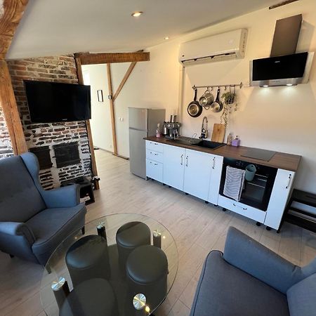 Bellevue Appartement Sous Les Toits Hypercentre Climatise โดล ภายนอก รูปภาพ